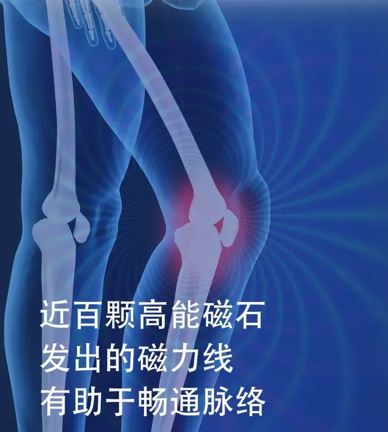 达圆邦磁暖护膝(图9)